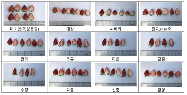 국내 유전자원(국내 육성 품종)