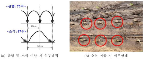 식부궤적