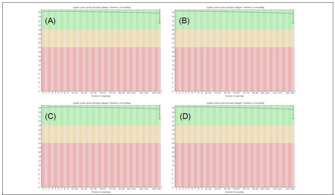 Quality scores of Illumina genomic raw reads. (A) Read1 in RA. (B) Read2 in RA. (C) Read1 in RS. (D) Read2 in RS