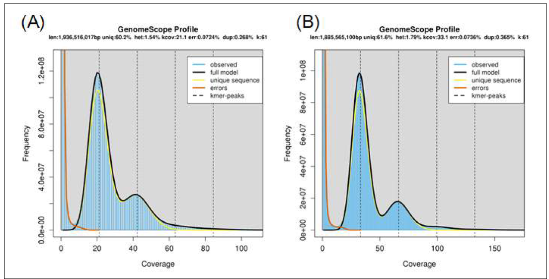 The distribution of 61-mer frequency analyzed by GenomeScope program. (A) RA. (B) RS