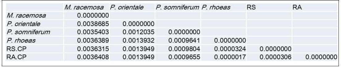 The pairwise distance calculated with the complete chloroplast sequences and MEGA