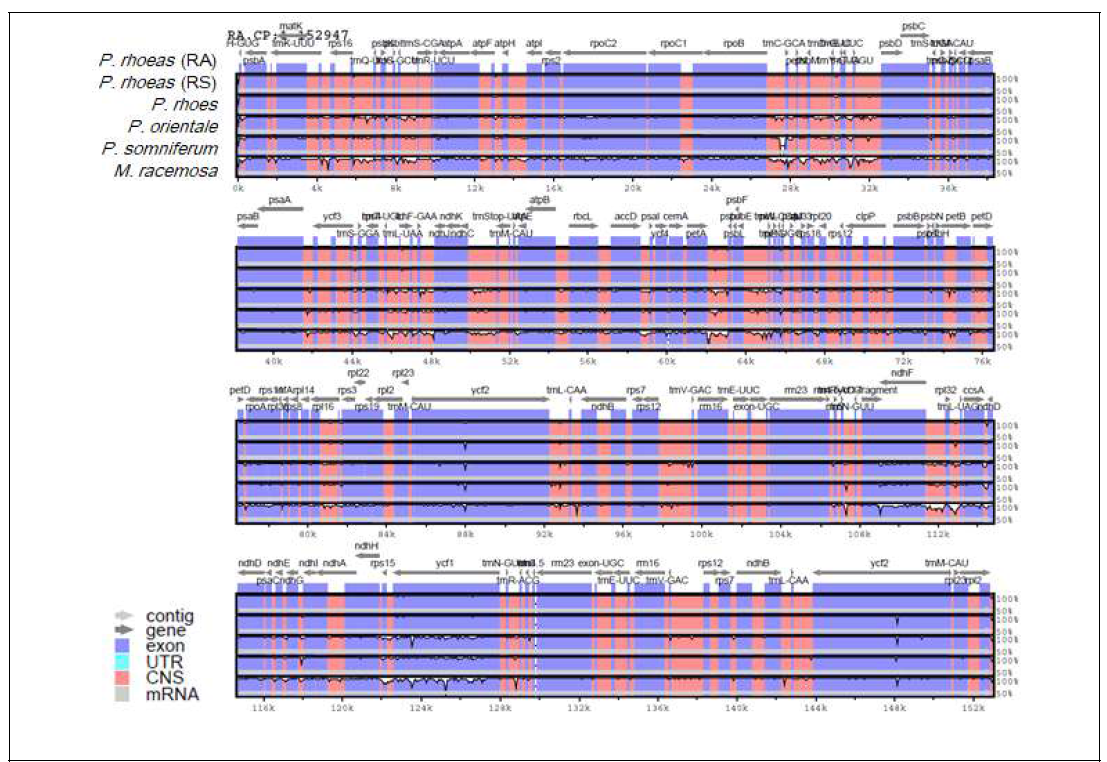 The nucleotide sequence comparison of chloroplast genomes using mVISTA analysis