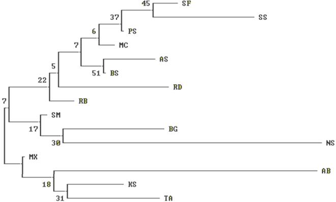 고양이 집단(15품종) 간 유전적 근연관계에 의한 유전적 계통수 * 아비시니안(AB), 아메리칸컬(AC), 아메리칸숏헤어(AS), 뱅갈(BG), 브리티쉬숏헤어(BS), 데본렉스(DR), 하이랜드폴드(HF), 코리언숏헤어(KS), 먼치킨(MC), 믹스묘(MX), 노르웨이안숲(NS), 페르시안(PS), 러시안블루(RB), 렉돌(RD), 스코티시폴드(SF), 샴(SM), 스코티쉬 스트레이트(SS), 터키쉬앙고라(TA)