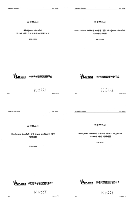 A. faecalis EBN-NS13의 급성경구독성(왼쪽 위), 피부자극성(오른쪽 위), 꿀벌 영향(왼쪽 아래), 어류 영향(오른쪽 아래)시험 보고서