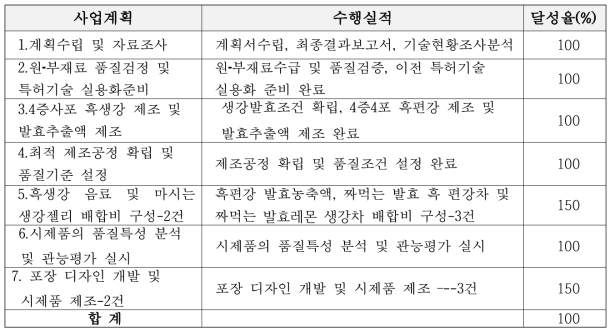 사업계획 대비 수행 실적