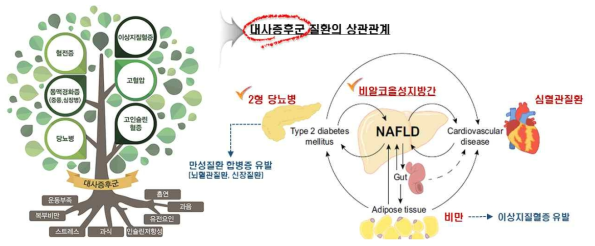 대사증후군과 비알코올성지방간질환(NAFLD) 상관관계