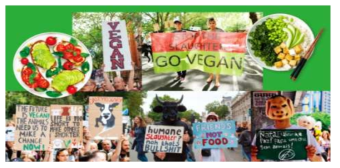 2018년 영국, 미국, 캐나다, 브라질 비건들의 육식 반대 시위 모습
