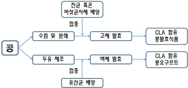 콩 이용 공액리놀레산 생산과 콩 가공 제품 개발 모식도