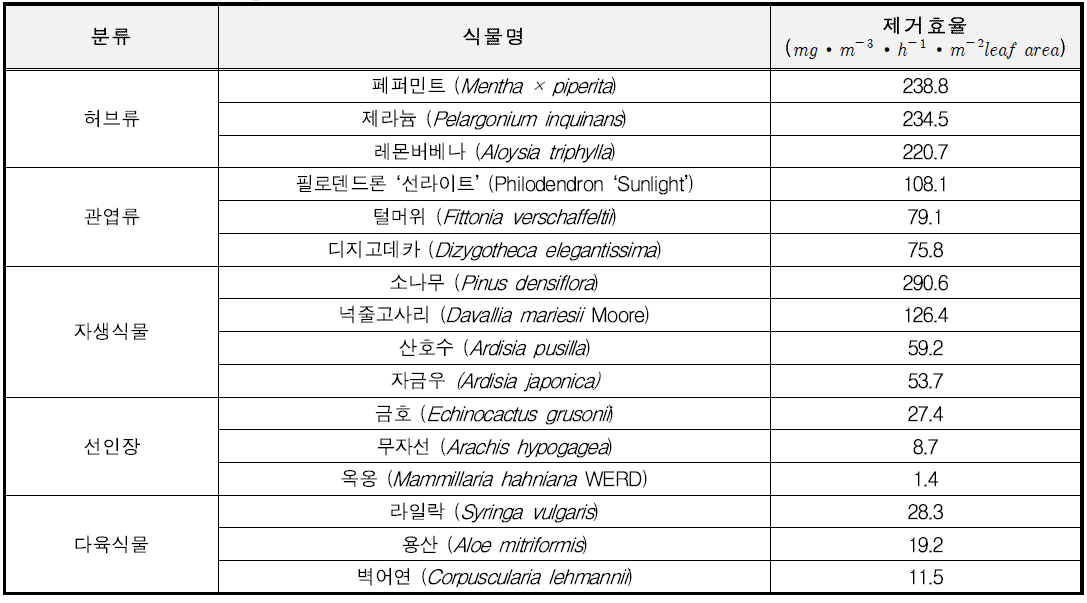 이산화탄소(CO2) 제거능력이 뛰어난 식물