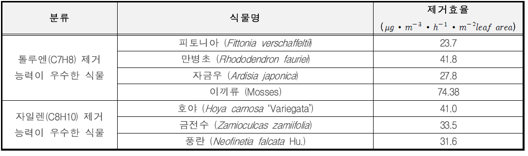 휘발성 유기화합물(VOCs) 제거능력이 뛰어난 식물