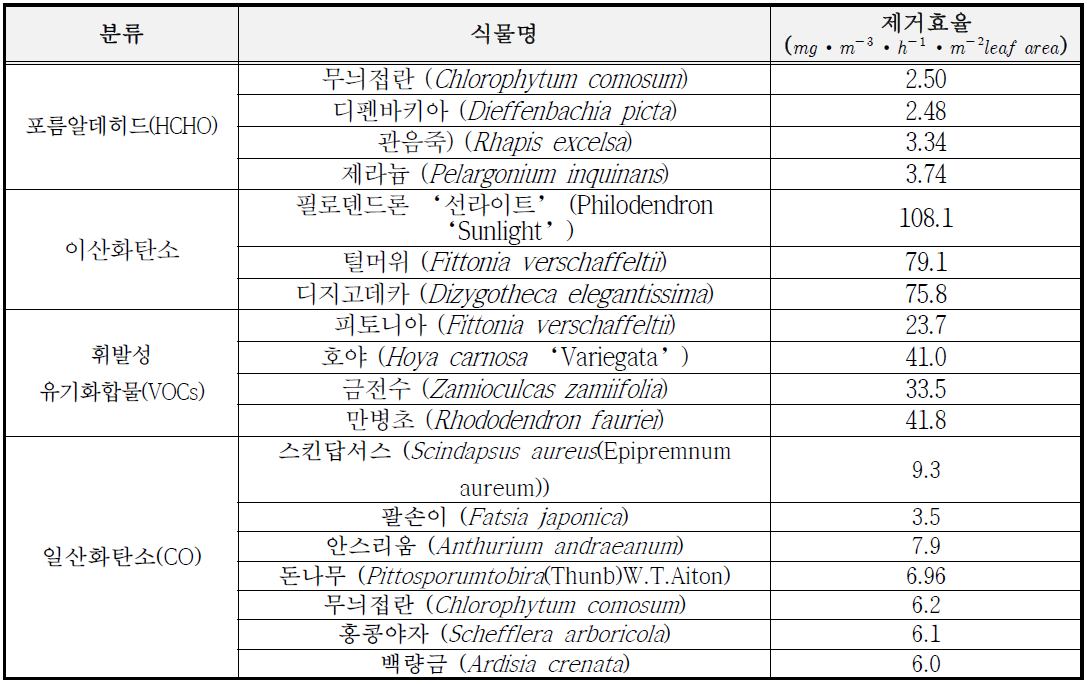 공기중 오염원 제거능력이 뛰어난 식물