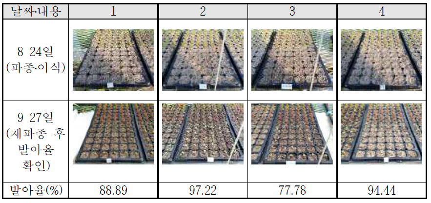 토양 혼합소재 배합별 발아율