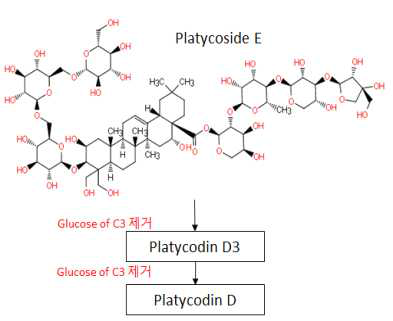 Platycoside E에서 Platycodin D3와 D로 전환되는 과정 모식도