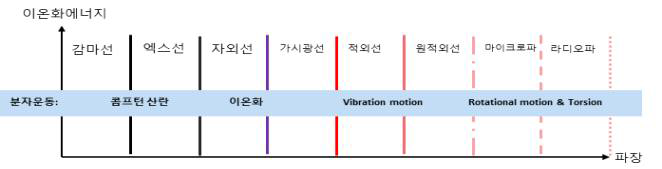 전자기파의 파장에 따른 분자의 움직임