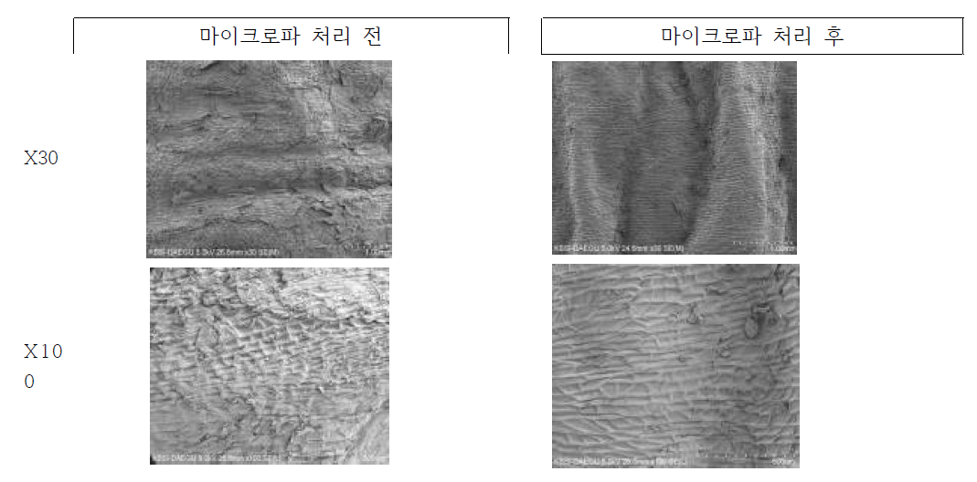 마이크로파 조사 전후의 도라지 껍질의 형상 변화(SEM Image)