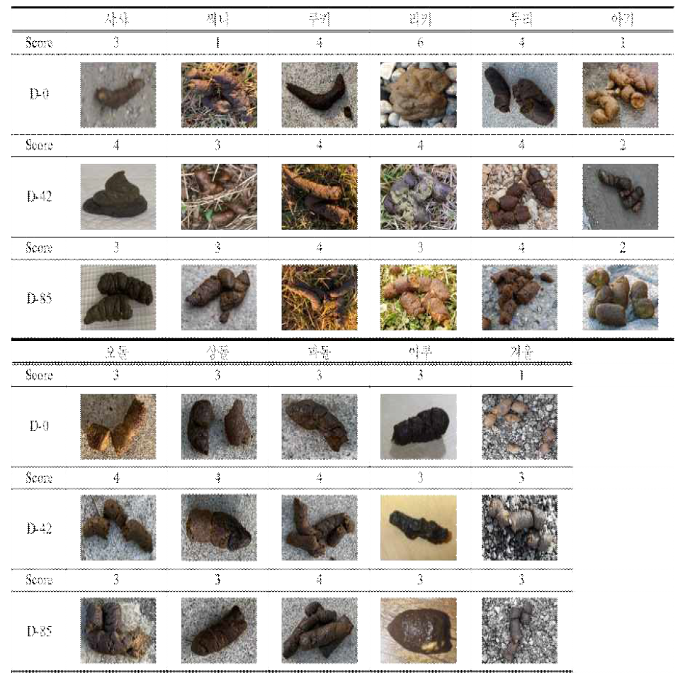 시료 섭취에 따른 반려견 분변지수의 변화