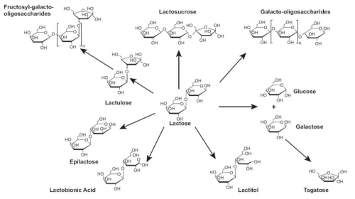 유당(lactose)유래 난소화성 올리고당 및 기능성 당류