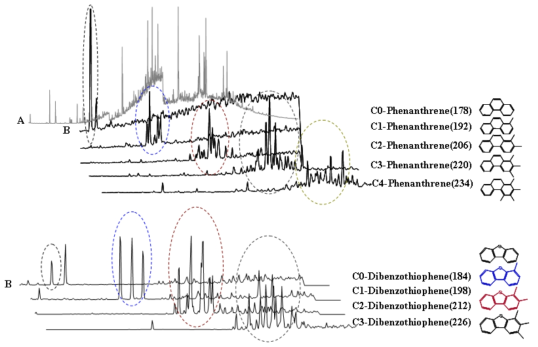 환경시료 내 알킬치환된 페난스렌과 디벤조티오펜의 크로마토그램 (A: total ion chromatogram, B: selected ion chromatogram)