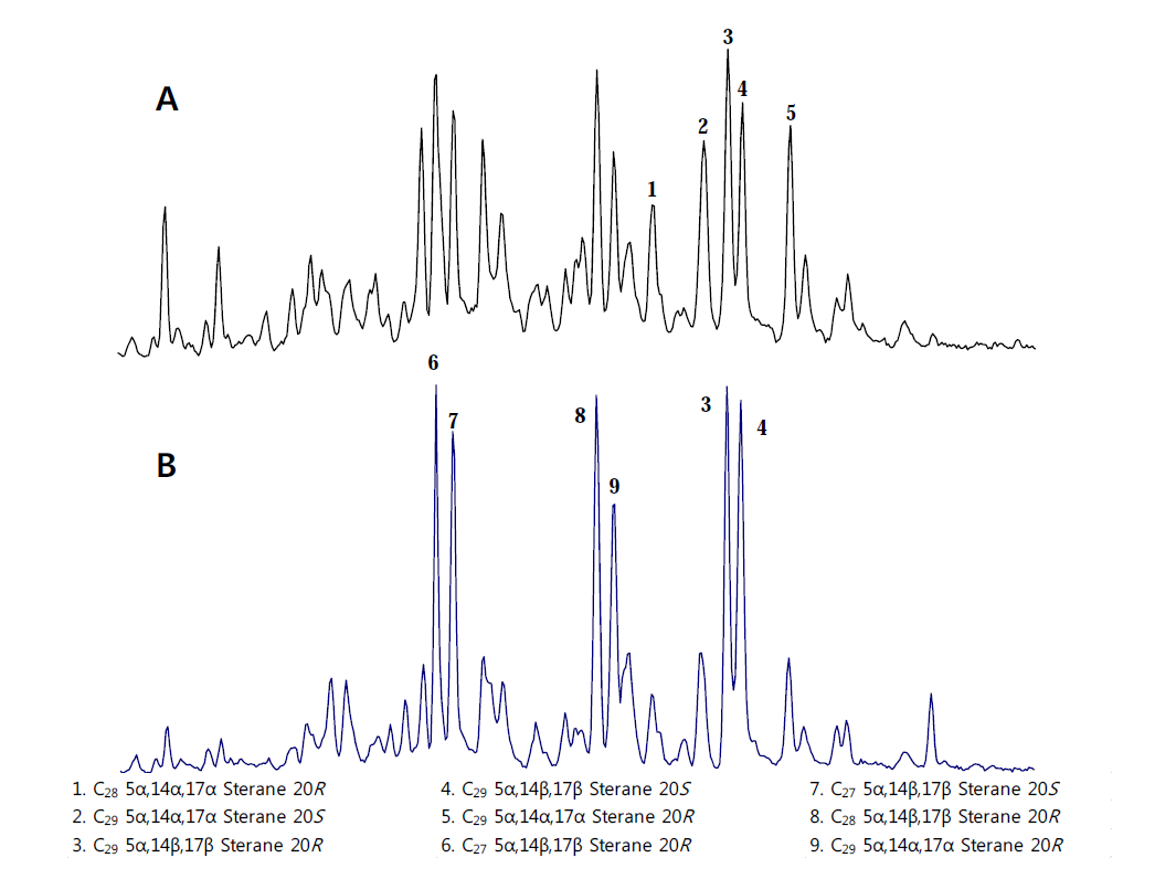 이란산 원유에서 스테란화합물의 이온크로마토그램(A: m/z 217, B: m/z 218)