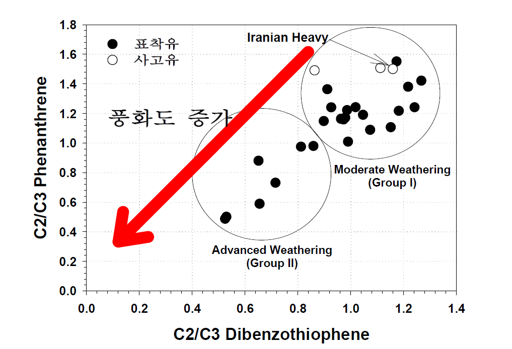 사고유와 표착유에서 풍화지수(C2/C3D vs C2/C3P)를 이용한 분석 결과