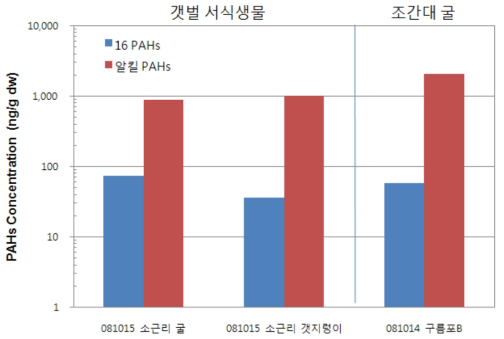 사고 초기 펄갯벌 지역 서식생물 내 PAHs 분석결과