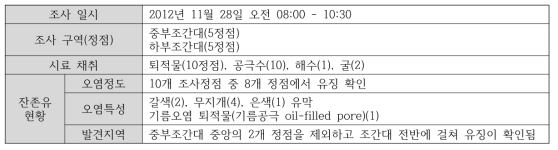 가루미 지역 정밀조사 내용 요약