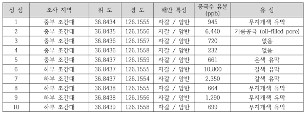 가루미 지역 정밀조사 정점 및 잔존 유징 현황