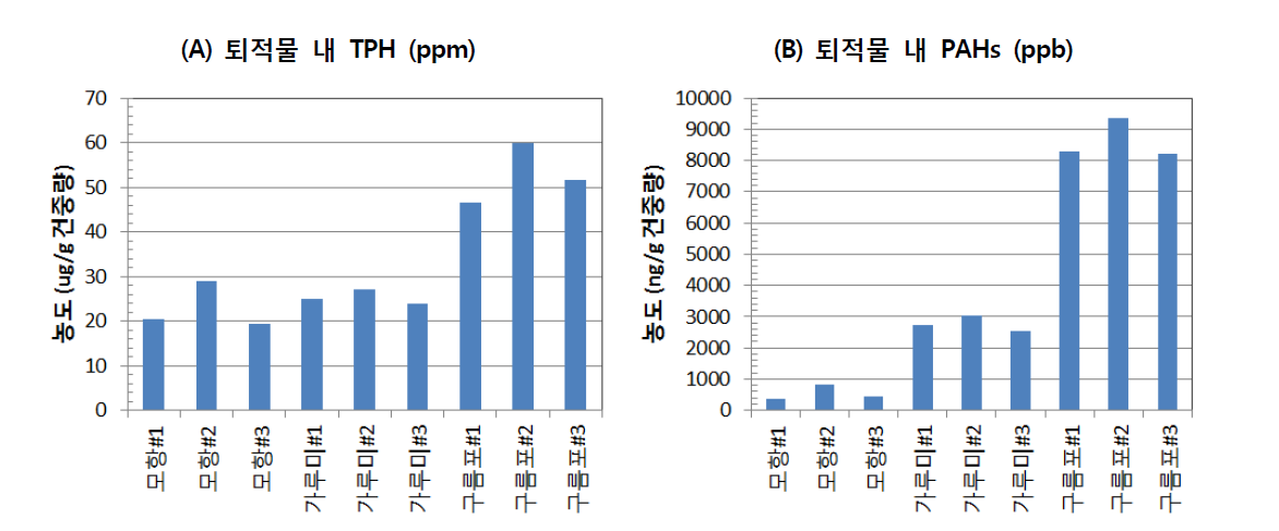 퇴적물 내 TPH 및 PAHs 분포