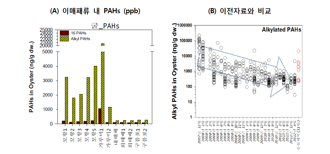 이매패류 내 PAHs