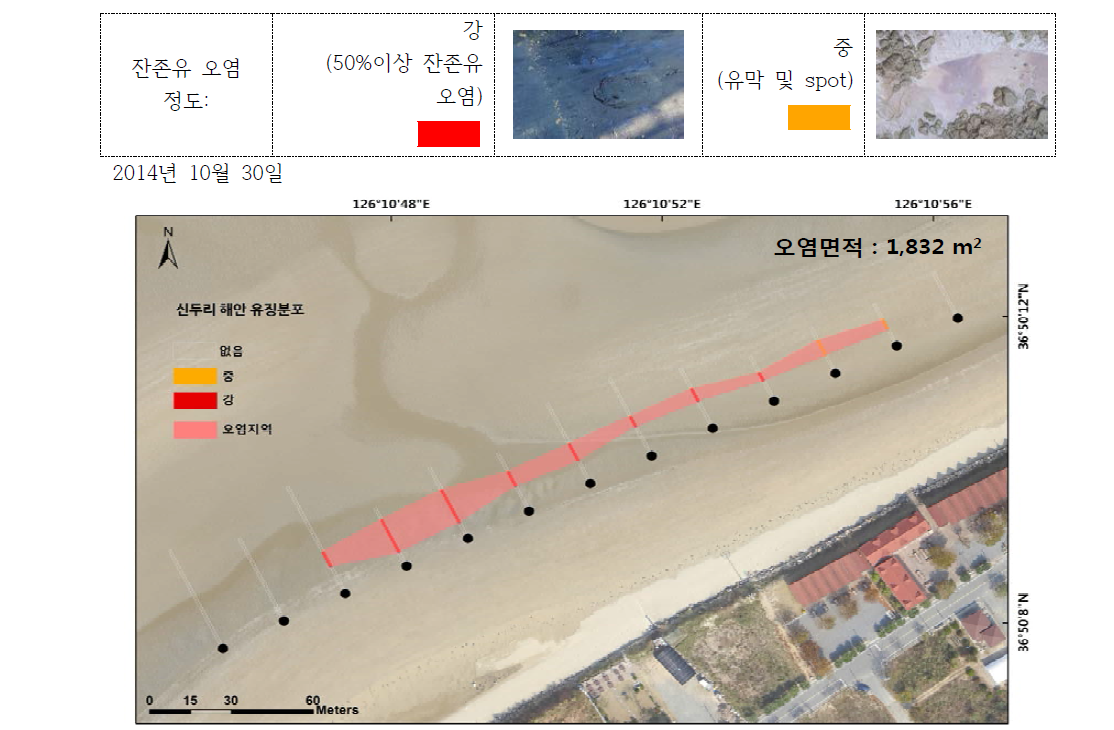 신두리 해수욕장 잔존유 오염지역 분포 (2014년 10월)