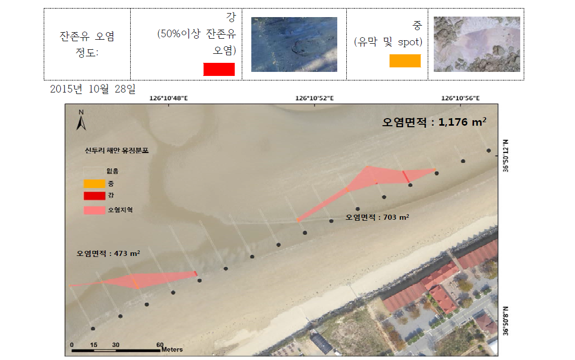 신두리 해수욕장 잔존유 오염지역 분포 (2015년 10월)