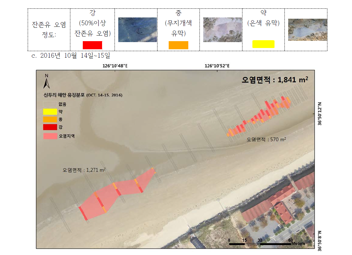 신두리 해수욕장 잔존유 오염지역 분포 (2016년 10월)