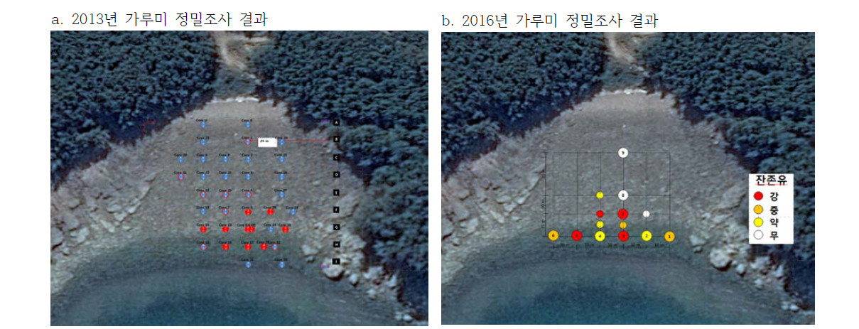 가루미 해안 2013년 조사와 당해연도 결과 비교