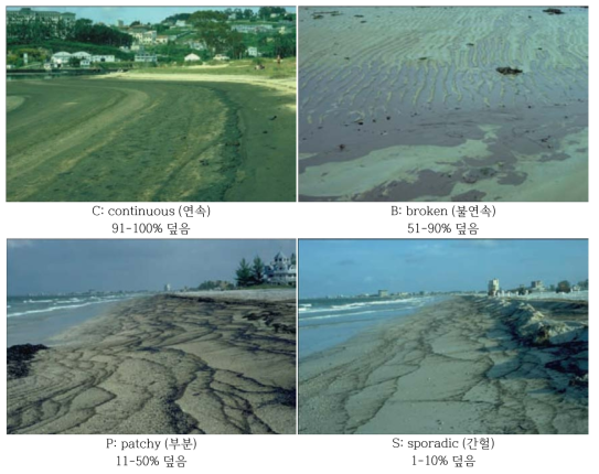 오염정도에 따른 유징구분(사진출처: NOAA Shoreline Assessment Job Aid)