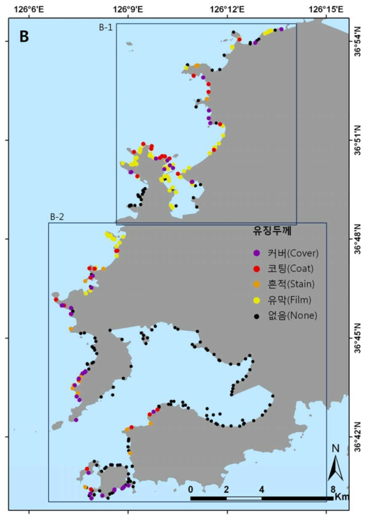 1차 유징분포 조사구역 및 각 구역에서 발견된 유징의 두께에 따른 분류 (학암포해수욕장 - 신진도)