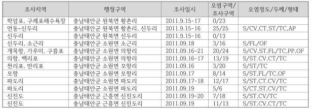 2011년 태안반도 지역 3차 유징분포 조사지역 및 유징발견 현황