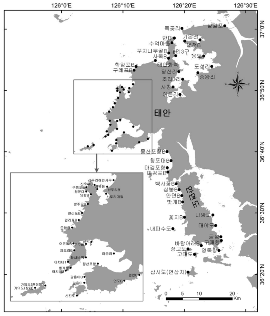 조간대 해수 초기 조사정점 (2007년 12월)