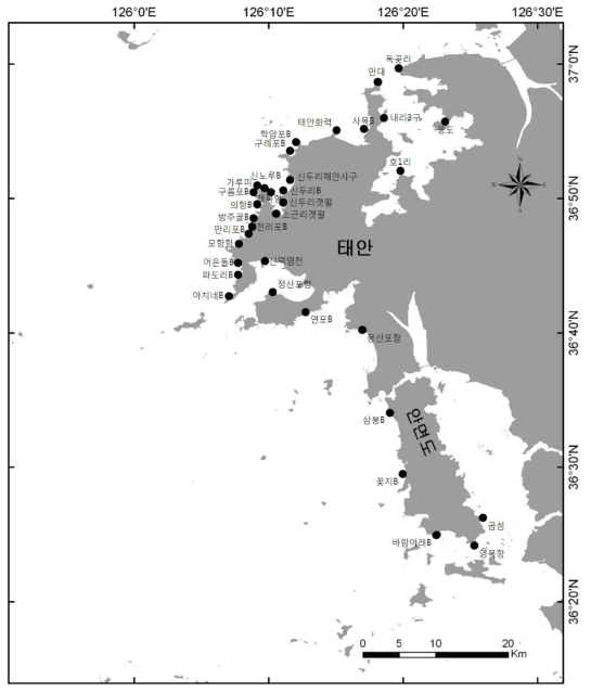 조간대 표층 해수, 퇴적물, 이매패류 조사 정점