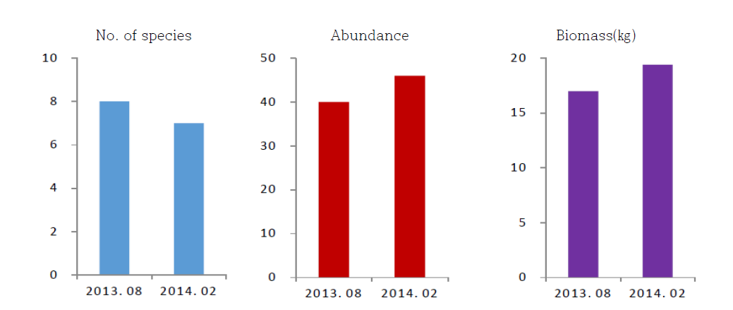 조사시기별 의항 연안에서 자망으로 채집한 어류의 종수, 개체수 및 생체량 비교(2013년 8월, 2014년 2월)