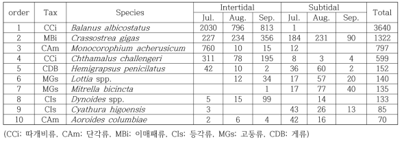 조간대와 조하대 양식시설에서 개체수로 살펴본 우점종 10종