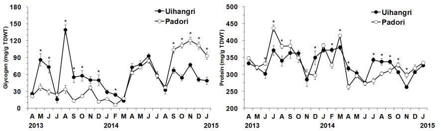 의항리와 파도리에서 채집된 바지락의 조직 내 글라이코겐과 단백질 함량의 월별 변화 (*p<0.05)