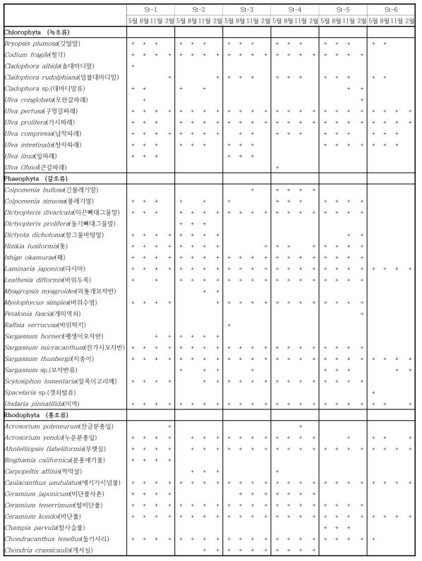 의항리 조사지점별 해조류 종조성
