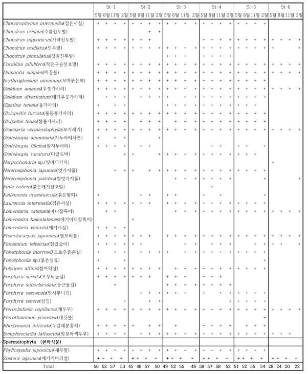 의항리 조사지점별 해조류 종조성 계속
