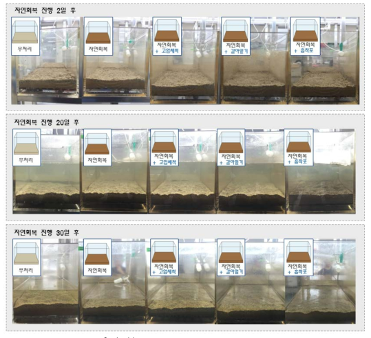 시간에 따른 방제기법 별 실험수조 모습