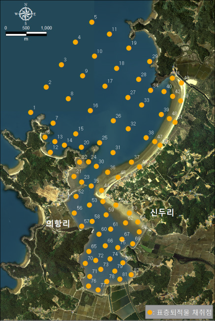 표층퇴적물 채취 정점도