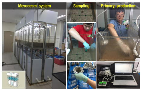 실내 메소코즘 샘플링 및 일차생산량 측정 모습