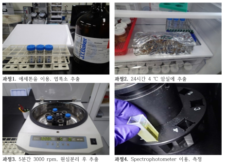 저서미세조류 생물량 측정 방법