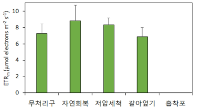 방제기법 별 저서미세조류 일차생산량(D+30) 측정결과