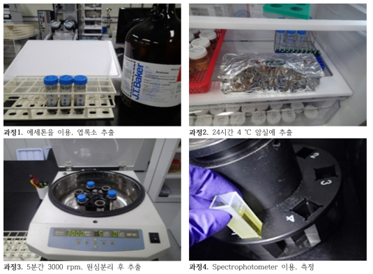 저서미세조류 생물량 측정 방법