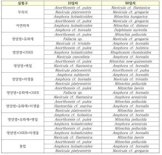 정화기법 실험구 별 규조류 우점종 list